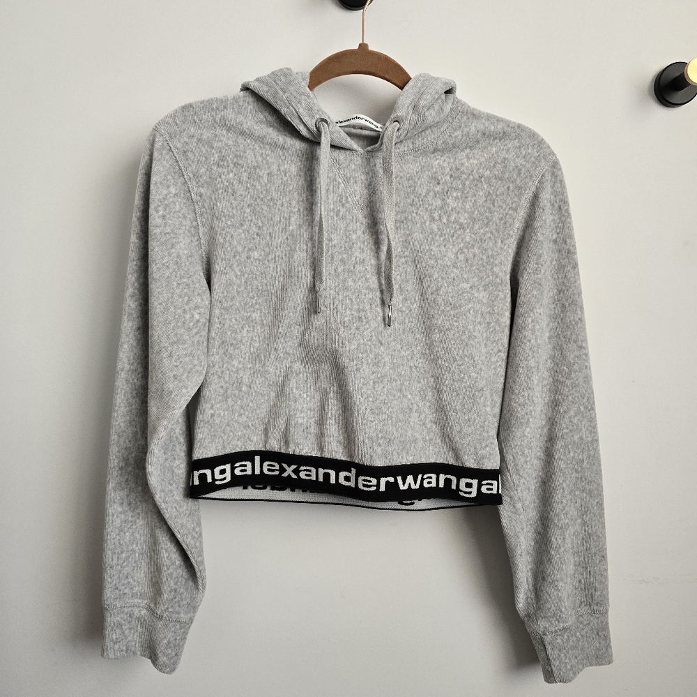 Alexander Wang Grey Hoodie